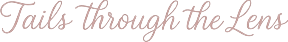 Tails Through The Lens